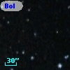 Bol D171
