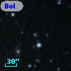 Bol D173
