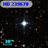HD 239670