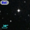 Bol 474