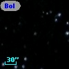 Bol 419