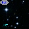 Bol 447