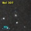 Bol 307