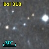Bol 318