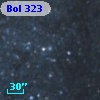 Bol 323