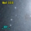 Bol 333