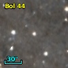 Bol  44