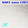 NAME nova 1983 in M 31