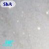 ShAl 29