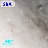 ShAl 32