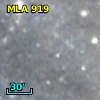 MLA  919