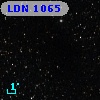 LDN 1065
