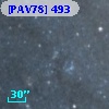 [PAV78] 493
