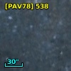 [PAV78] 538