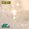 Bol  95