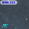 [B90] 313