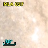 MLA  837