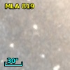 MLA  819