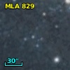 MLA  829