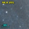 MLA  891