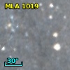 MLA 1019