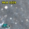 MLA 1029