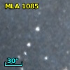 MLA 1085