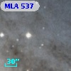 MLA  537