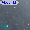 MLA 1419