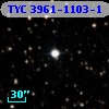 TYC 3961-1103-1