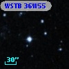 WSTB 36W55
