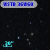 WSTB 36W60