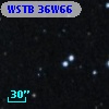 WSTB 36W66