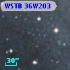WSTB 36W203