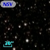 NSV 13732