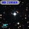 HD 239569