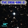 TYC 3956-606-1
