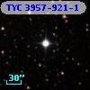 TYC 3957-921-1