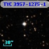 TYC 3957-1275-1