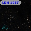 LDN 1067