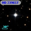 HD 239657