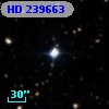 HD 239663