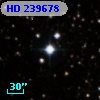 HD 239678