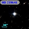 HD 239641