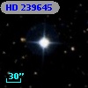 HD 239645