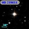 HD 239651