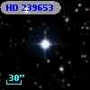 HD 239653
