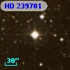 HD 239701