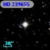 HD 239655
