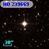 HD 239669